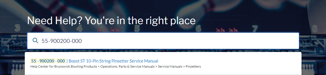 Brunswick_Help-Center-Search-Strategies_Manual-PN-1a.png